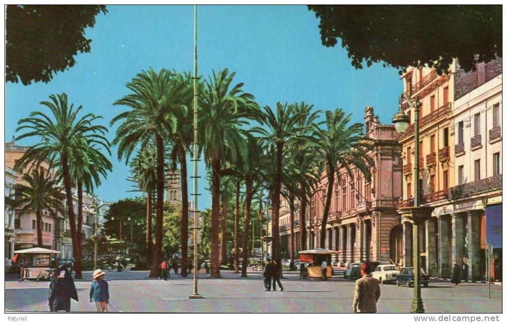 Cpsm  *  ANNABA  *  Cour de la Révolution  *