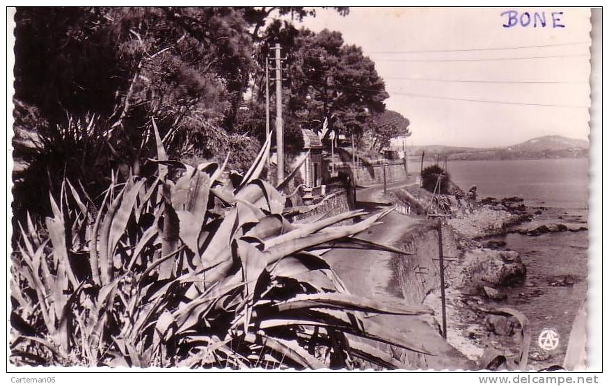 Algérie - Bone - La corniche