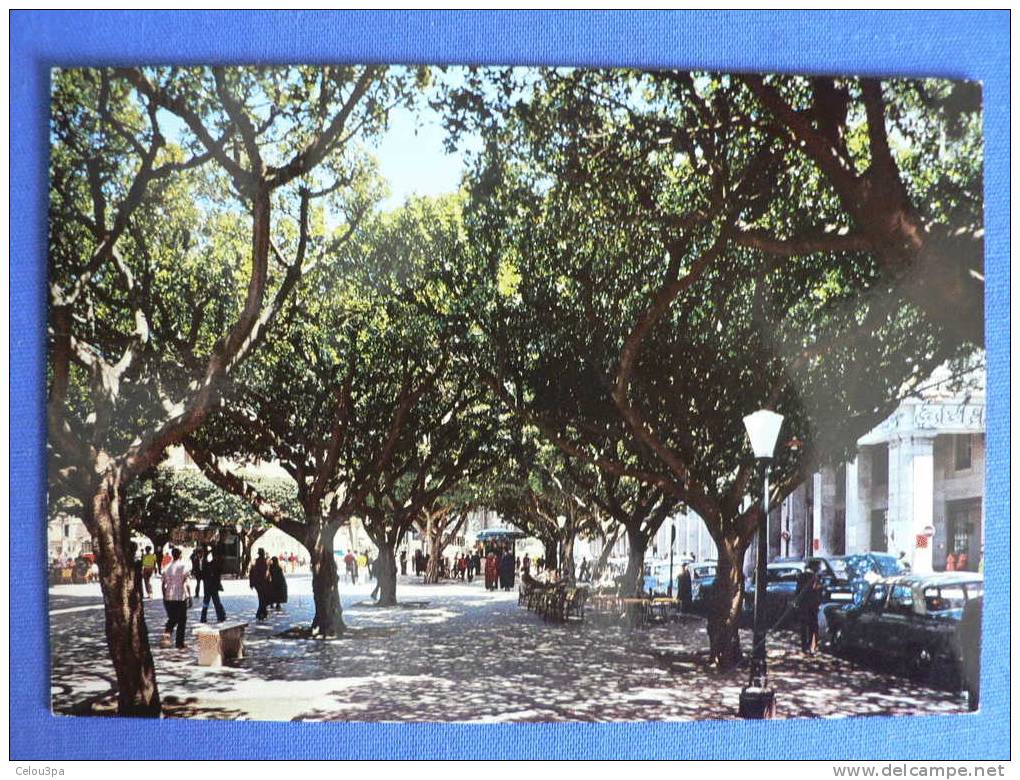 Annaba Cours de la Révolution