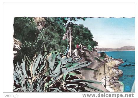 CPA - BONE - 25 - LA CORNICHE