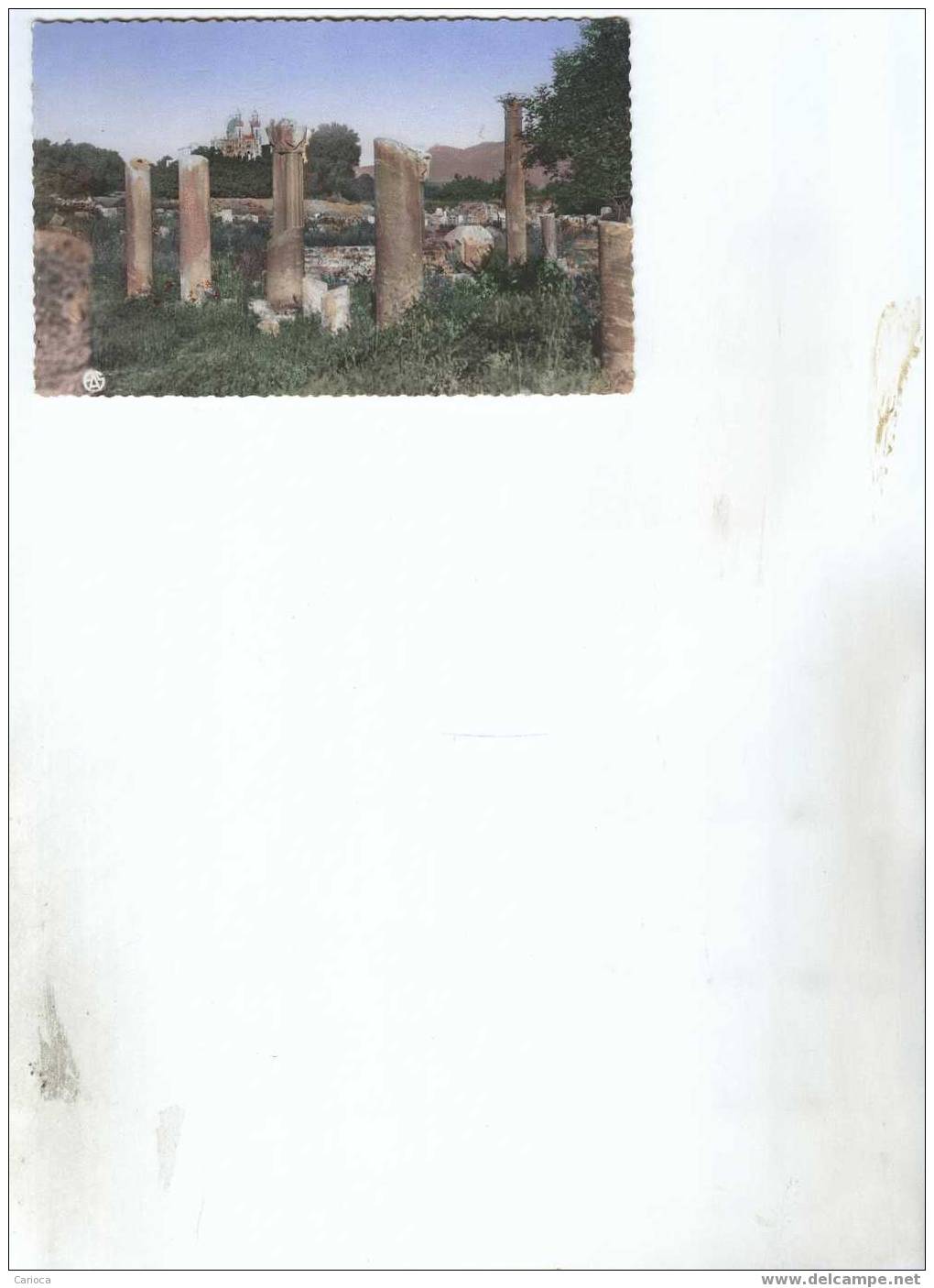 CP BONE RUINES D HYPONNE ET LA BASILIQUE EN 1958