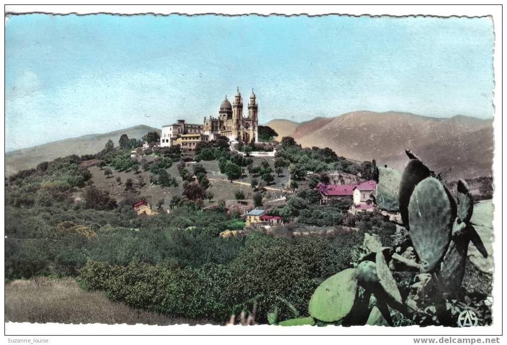 CPSM - Bone  - La Basilique Saint-Augustin