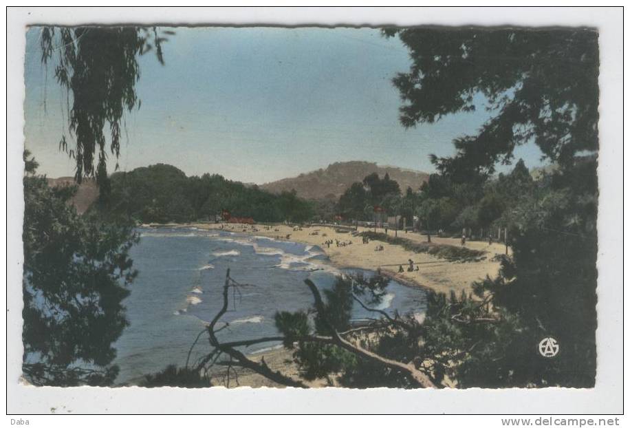 Bone. La Plage Chapuis.