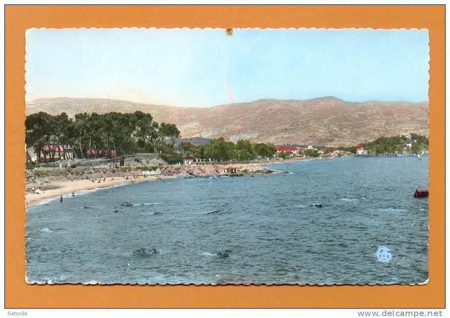 CPSM  ALGÉRIE  -  BONE  -  42  Les Plages Gassiot et Saint-Cloud  (en 1957)