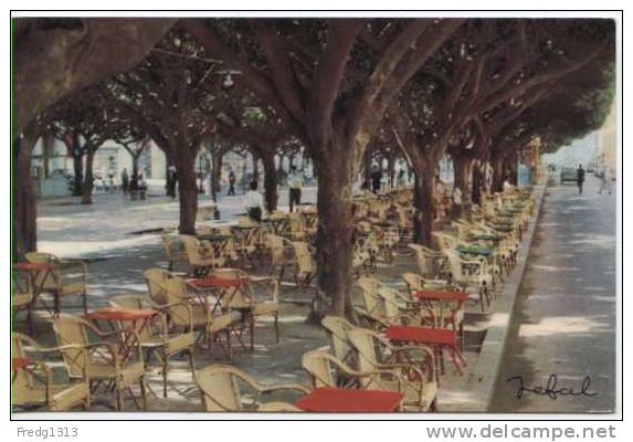 Annaba - Cours de la Revolution