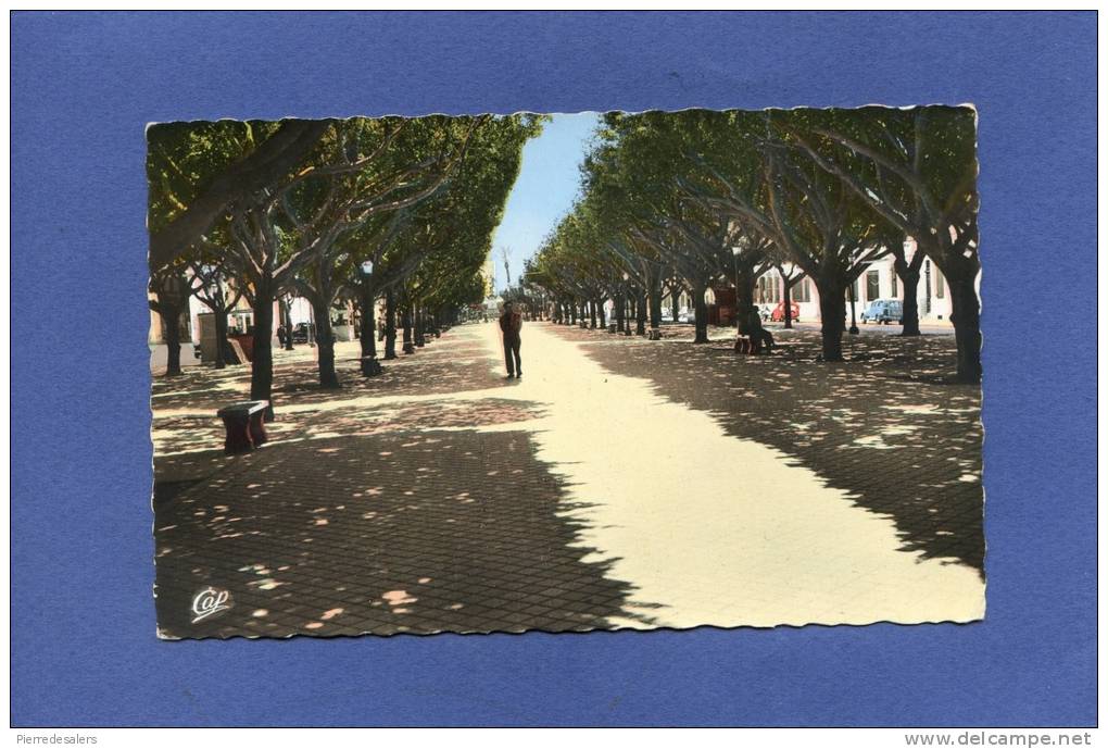 Z - Algérie - BONE - Le  cours Bertagna - voiture - Annaba