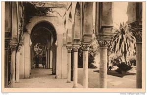 PALAIS  D ETE......SOUS  LA  PERGOLA..