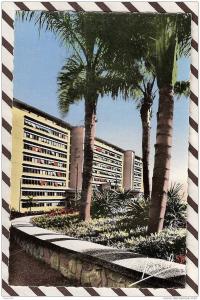 R344 ALGER LE GOUVERNEMENT GENERAL