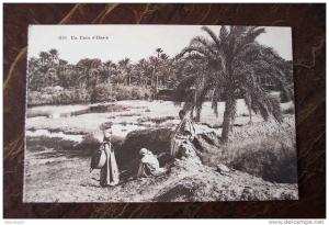 CPA--GG--  ALGERIE - un coin d oasis  (provenance d un carnet)
