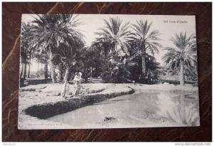 CPA--GG--  ALGERIE -  coin d oasis  (provenance d un carnet)