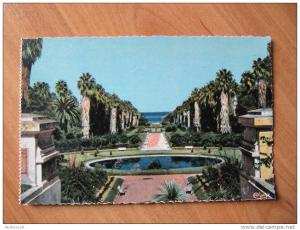 Y6I - cpa  ALGER le jardin d essai (coll zeghnoun hocine au souks algerois ALGER) CIM