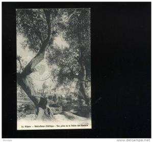 ALGERIE - ALGER -  Notre Dame d'Afrique - vue prise de la vallée des Consuls