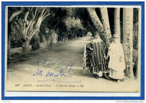 74 247  alger jardin d'essai  l'allée des yuccas