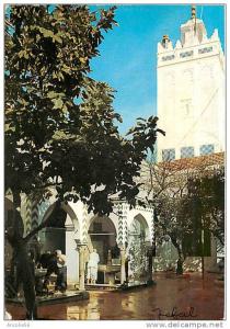 ALGER LA GRANDE MOSQUEE