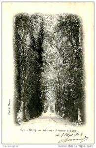 CP  -   ALGER  -   JARDIN D 'ESSAI     AF338  DOS NON SEPARE