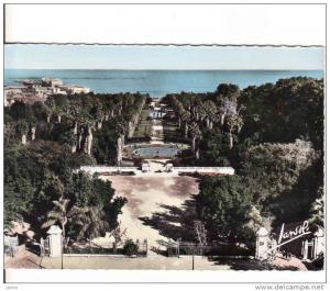 Algerie, Alger, Jardin d´Essai, circulé oui 1960
