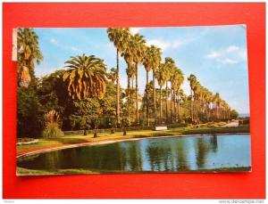 Alger, Algiers ,  cca 1965   VF/XF  D7424