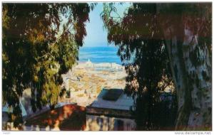 CPSM (format cpa)  El Djezair Vue générale sur le port de Plaisance    B510