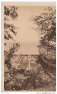ALGER . Jardin d'essai  .  Voir Recto - Verso  (N632)