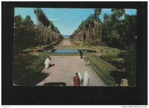 ALGER postcard ALGERIA