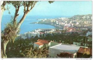 Algérie- environs d´ALGER surroundings of Alger  - Editions  JEFF photo R.Direnn  n° 1031*PRIX FIXE