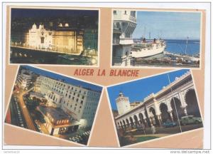 CPA  Alger la blache