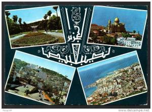 DD / ALGERIE / ALGER / LE JARDIN D´ ESSAI / CATHEDRALE N.D. D´ AFRIQUE / AVENUE DE L´ A.L.N. /  QUARTIERS DE BAB EL OUED