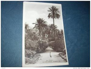 Alger - le Jardin d'Essai - Palmiers - Enfants - LL 180 - L113A