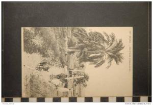 M'ZAB UN PUITS D'IRRIGATION ANIMEE ENFANT ANE CHAMEAU SAHARIEN