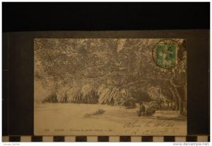 ALGER UN COIN DU JARDIN D'ESSAI