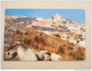 ,Algérie  ALGER Notre Dame d'Afrique ,  cca 1970-   VF   D4306