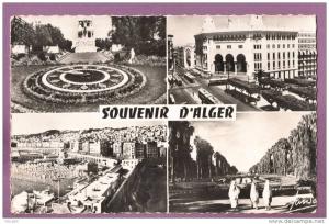 ALGER - SOUVENIR - Multivues. Tramway Carte dentelée.