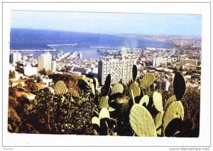 ALGERIA - 0062 - Alger - Panorama
