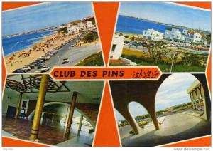 ALGERIE / ALGERIEN   Les plages D Alger  -  Club des Pins  -  Palais des Nations