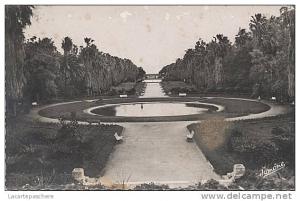X9458 ALGERIE ALGER JARDIN D´ ESSAI EN 1954