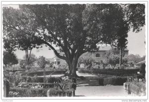 RELIZANE (Oran, Algérie) - Square D.Rivière   -  cpsm