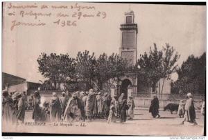 PORT GRATUIT  8500    RELIZANE