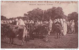 PORT GRATUIT  8500    RELIZANE