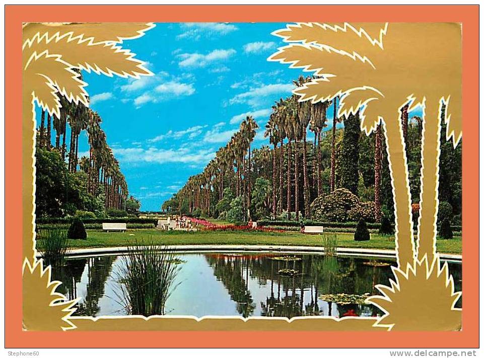 ALGER LA BLANCHE / Jardin d'Essai