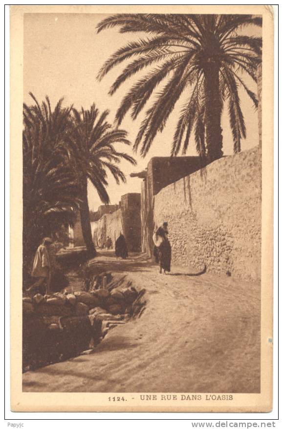 ALGERIE - Une Rue dans l´OASIS