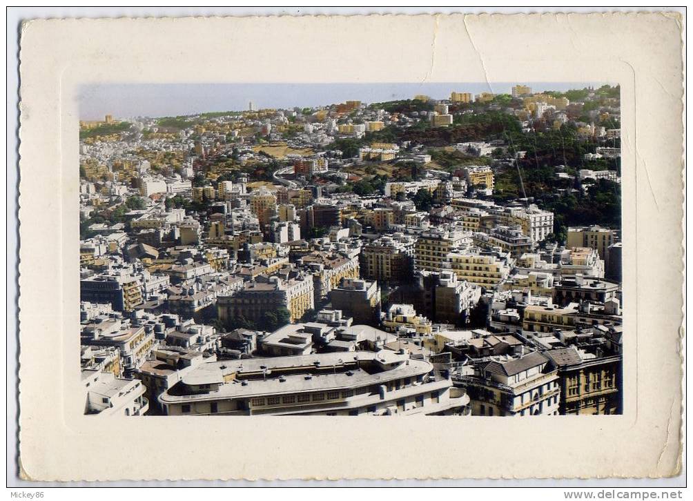 Algérie--ALGER--fin des années 50--Vue générale prise du Telemly (au1er plan l´Algeria)cpsm gd ft n° 409 éd Jomone