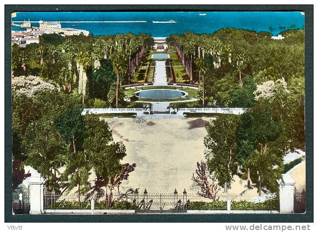 ALGERIE - ALGER - EL DJEZAIR  Le Jardin d'Essai, Edit. Jomone (circulée)