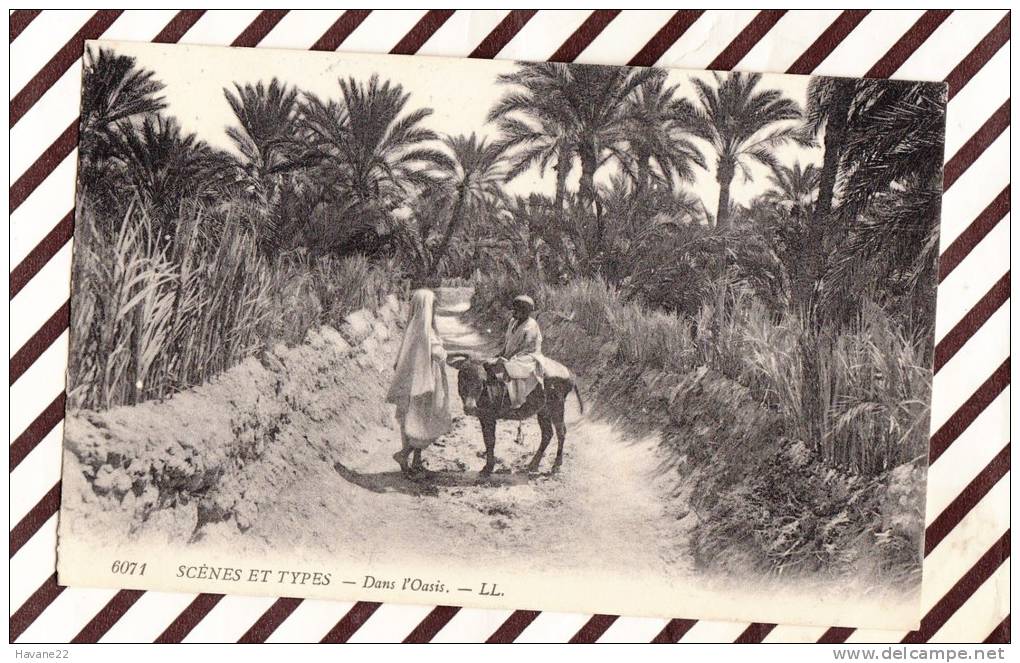 U2006 DANS L´OASIS 2 SCANS