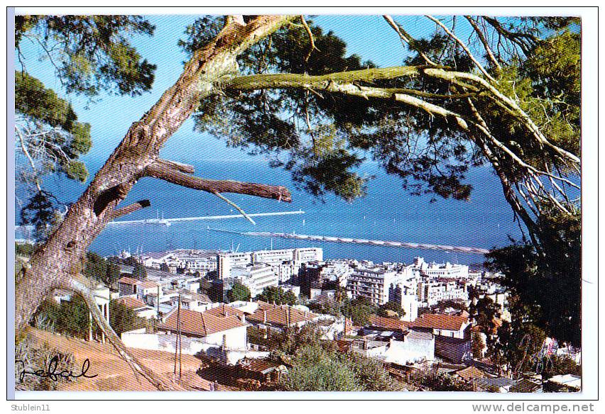 Alger (Algérie) Vue panoramique.   (CPSM, bods droits, format 9 x 14)
