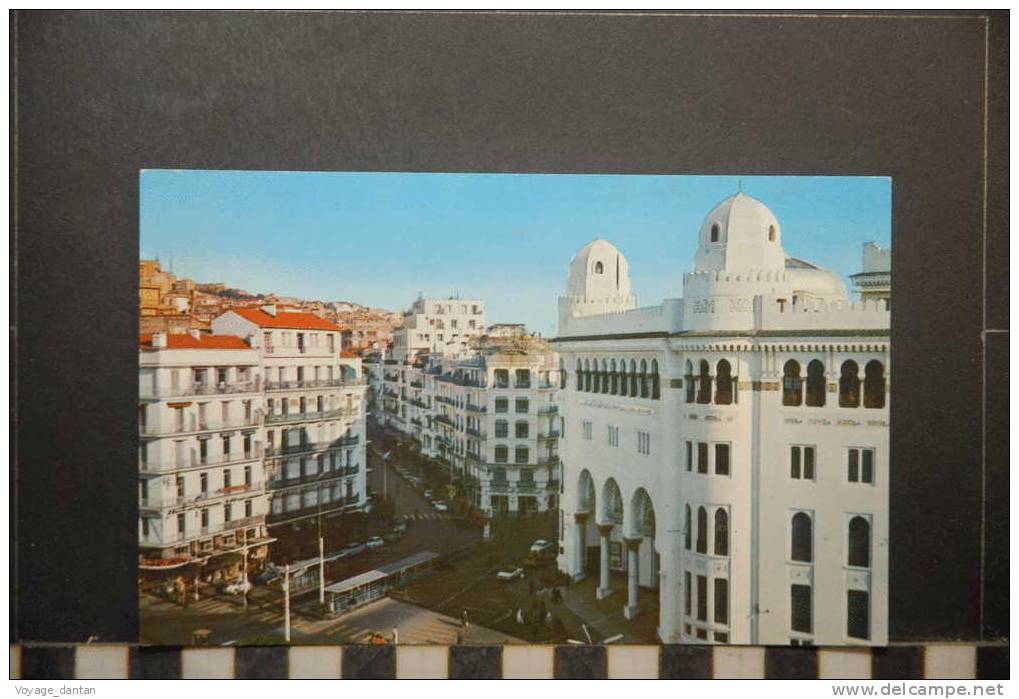 ALGERIE ALGER  LA GRANDE MOSQUEE ET LA RUE LARBI BEN MEHIDI