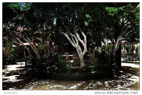 290 alger le cercle des officiers - les jardins