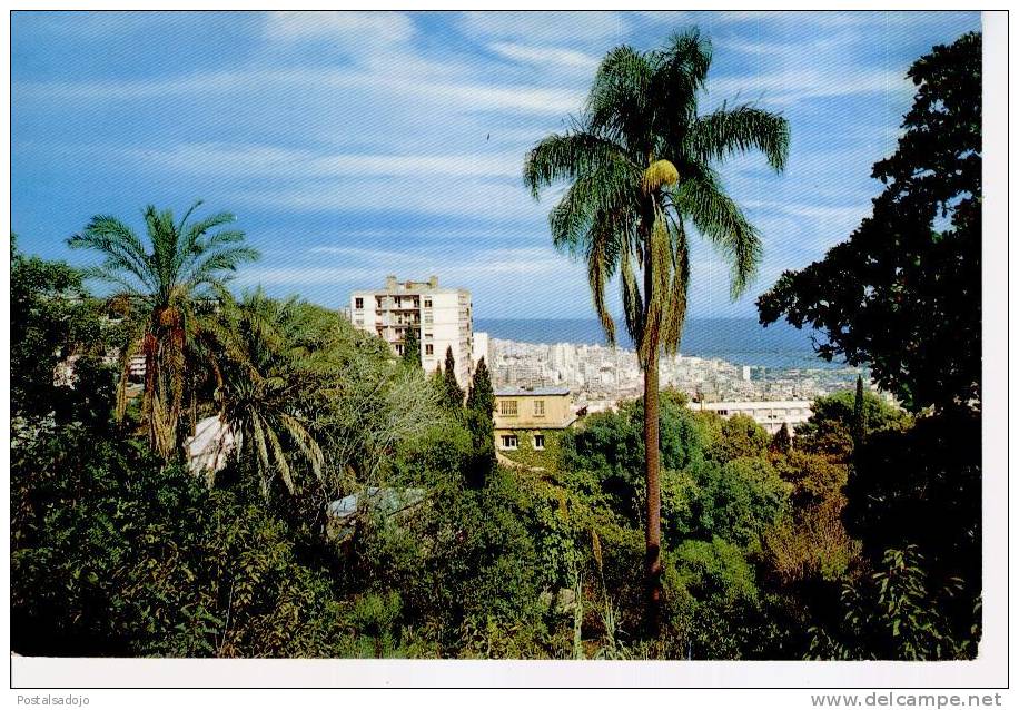 (ALG3) ALGER. VUE D´ENSEMBLE