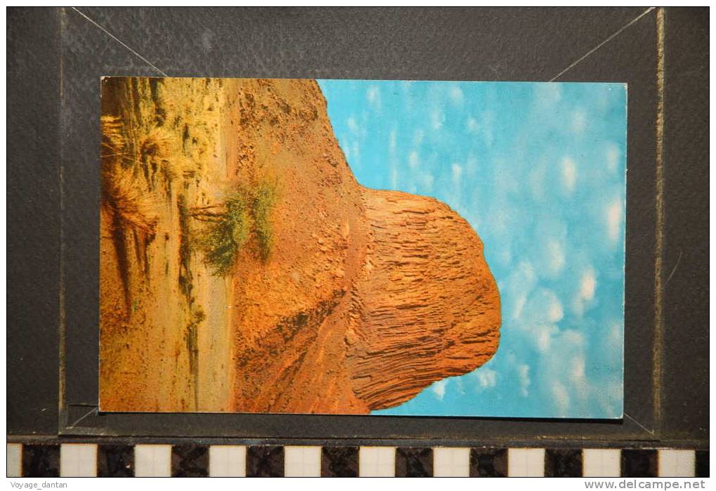 HOGGAR PIC LAPERRINE