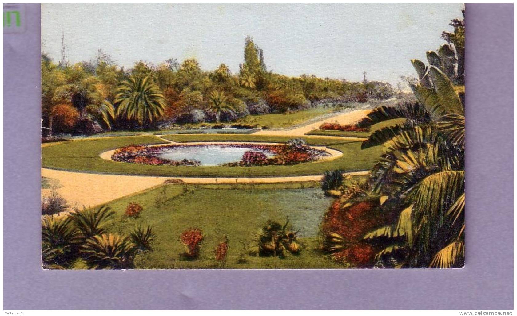 Algérie - Alger - Jardin d'essai - Pièce d'eau - Editeur La Cigogne N° 220