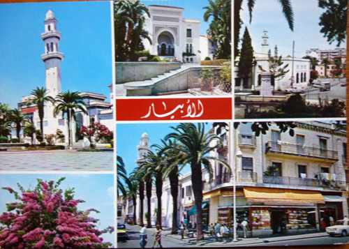ALGER LA BLANCHE EL BIAR 1978 - carte postale CP écrite non timbrée - état correct